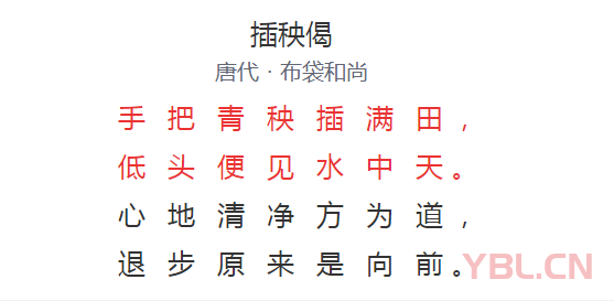 手把青秧插滿田低頭便見水中天是什么意思？